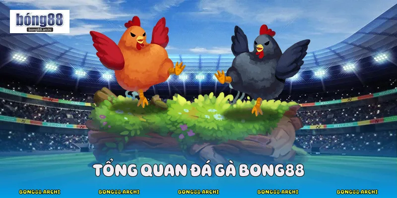 Tổng Quan Đá Gà Bong88